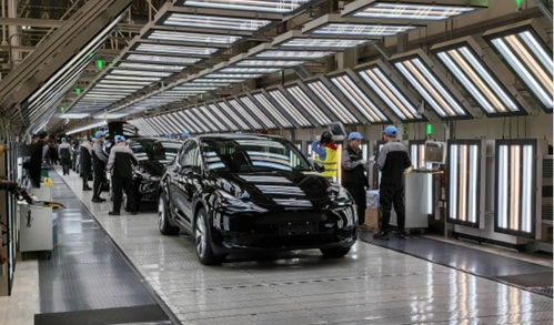 特斯拉否認與京東合作賣車，運動項目經營模式引熱議